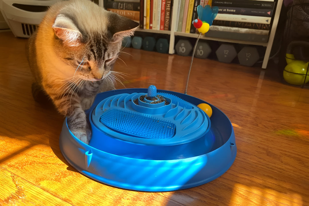FUN PET TOYS THAT KEEP HAPPY PETS